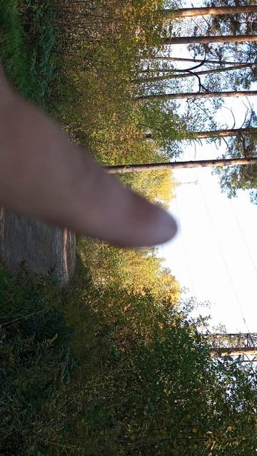 от вышек не спрятаться даже в лесу