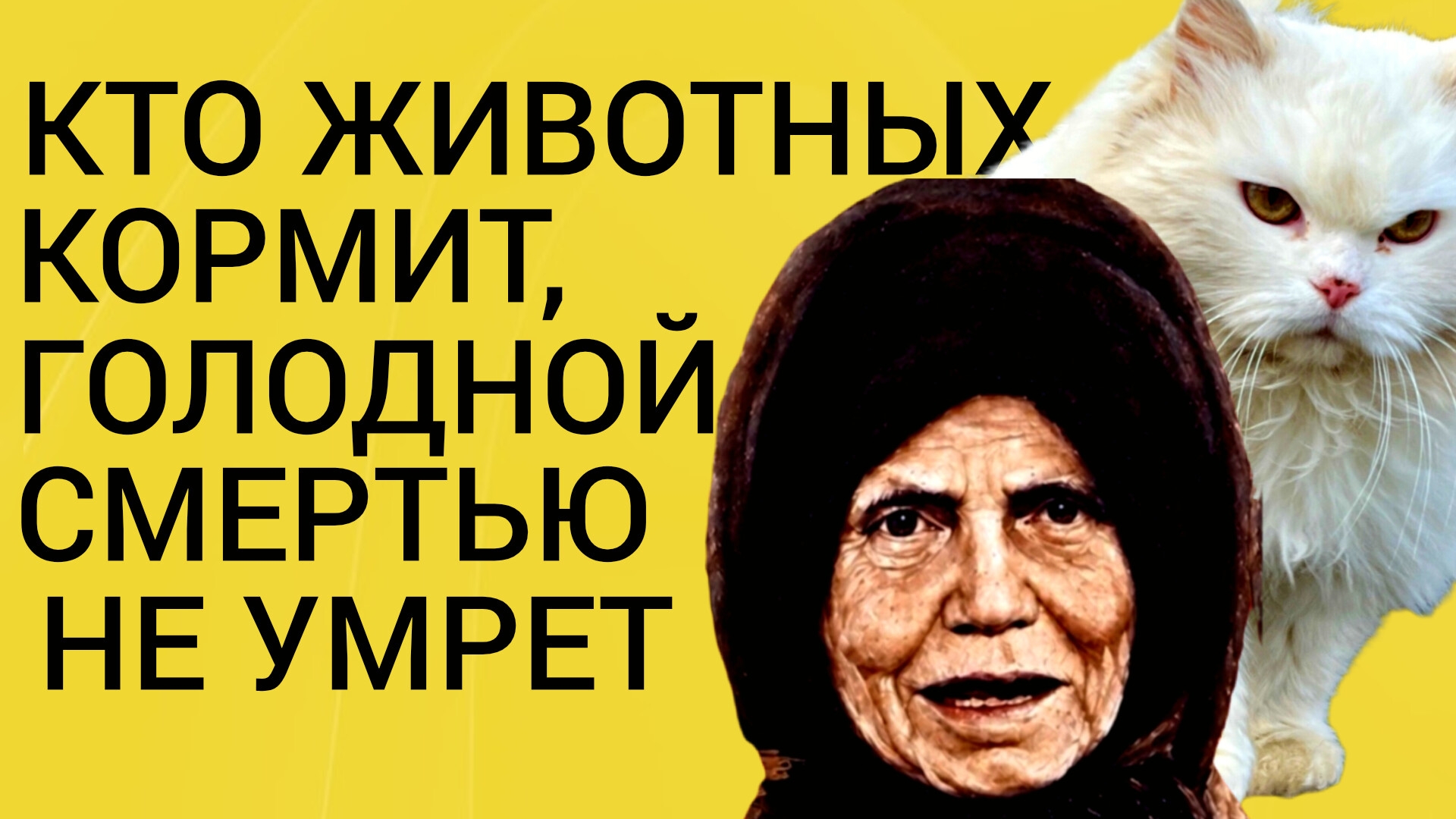 КТО ЖИВОТНЫХ КОРМИТ,ГОЛОДНОЙ СМЕРТЬЮ НЕ УМРЕТ.ЖИВОТНЫЕ ТОЖЕ МОЛЯТСЯ БОГУ.МАТУШКА АЛИПИЯ ч.7