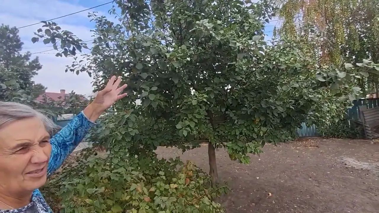 Дневник Обычной женщины. Ищу себе новых соседей.