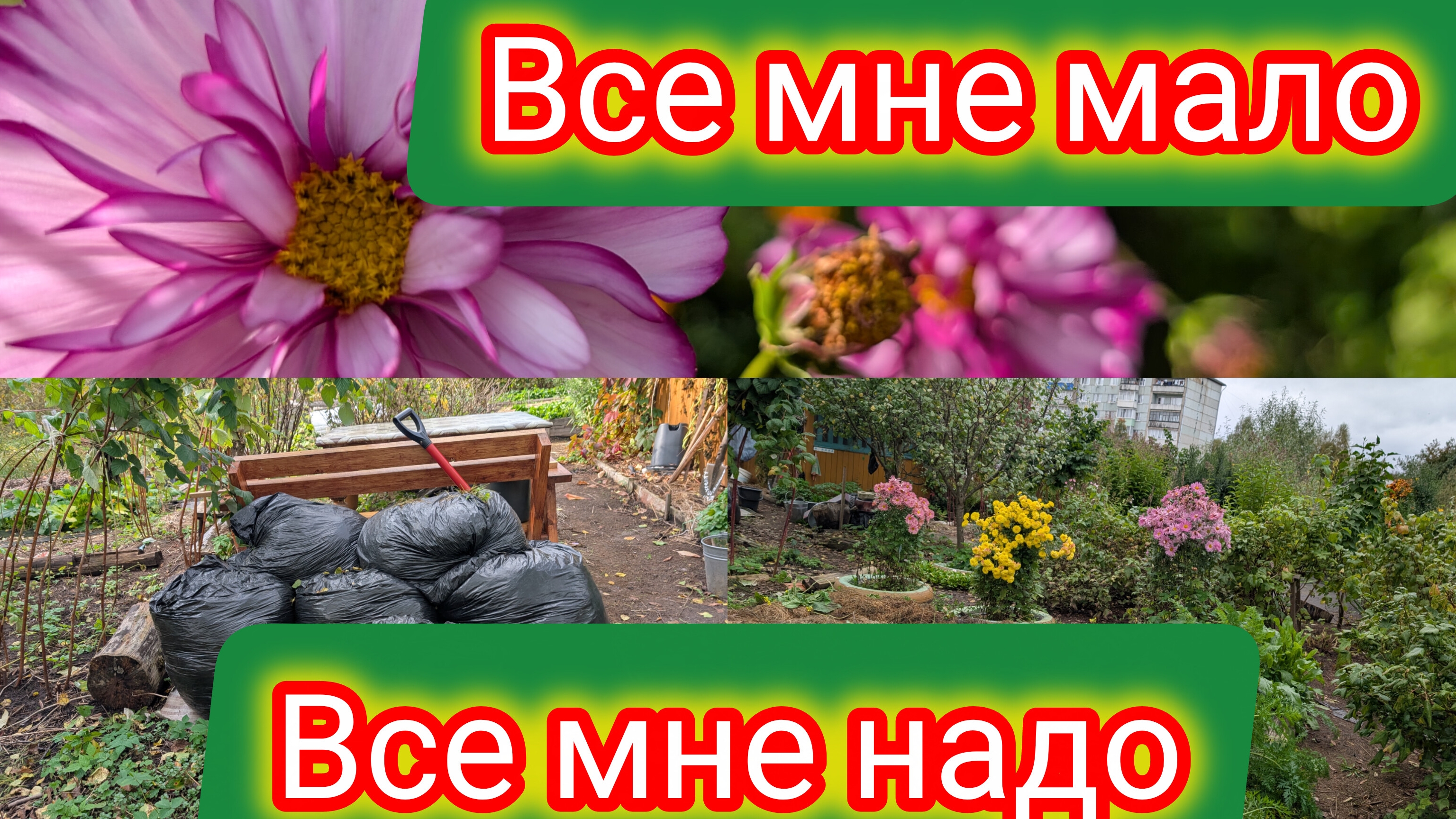 Превращаю болото в плодородную землю.Органику развожу КАМАзами .Пора уменьшать грядки.Заброшка.Тверь