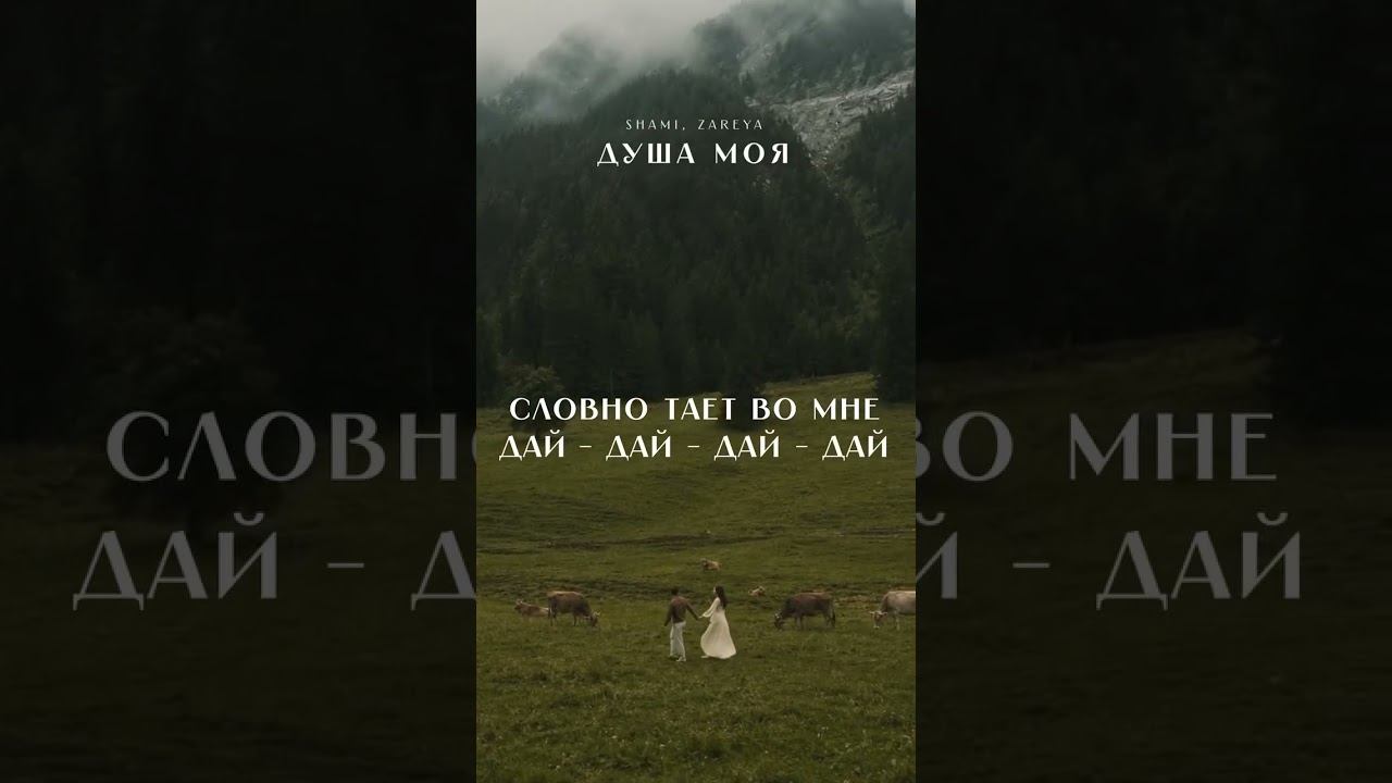 Премьера трека!  Shami, Zareya - «Душа моя» на всех площадках!