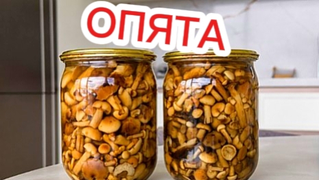 Маринованные опята. Проверенный рецепт 👍