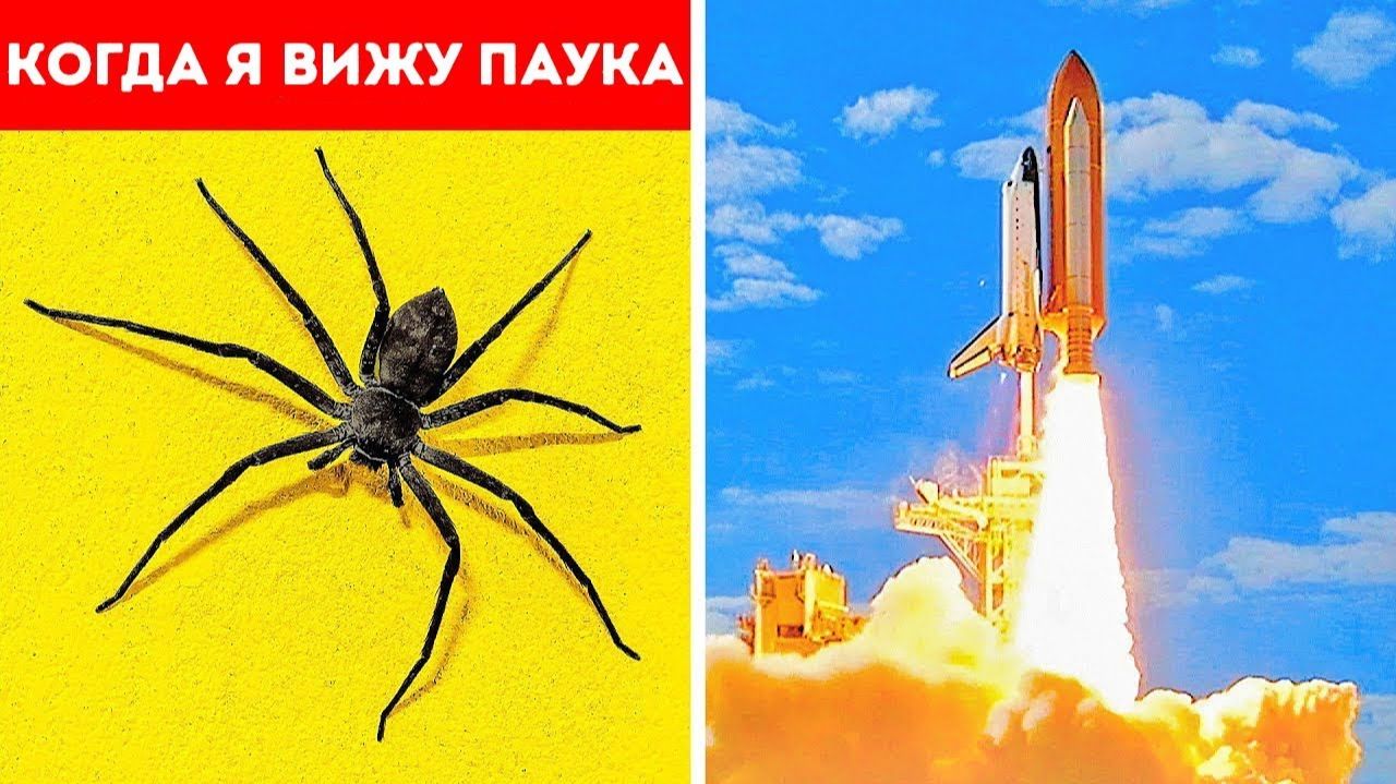 У СТРАХА ГЛАЗА ВЕЛИКИ
