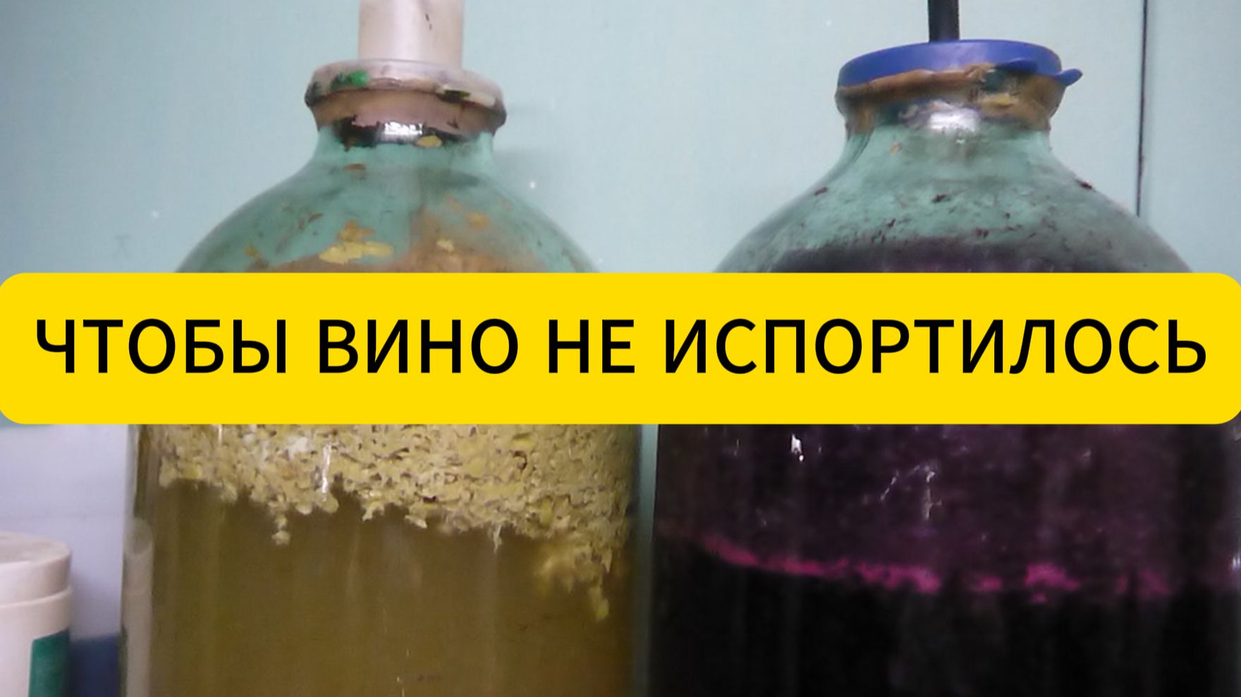 Домашние напитки. Личный опыт