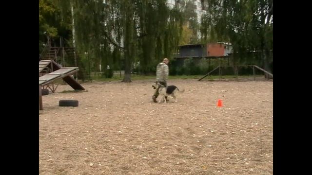 Проба Посадский Страж Уитни Очаровательная