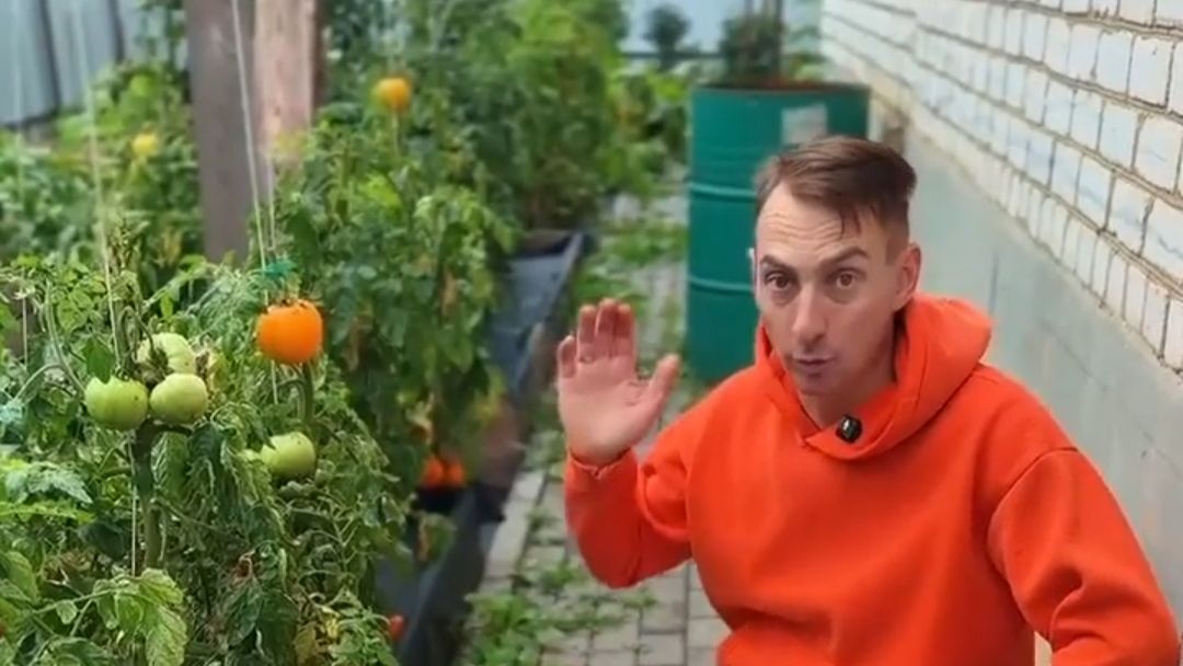 Туровская яжеНемать/ давно не виделись 🤔