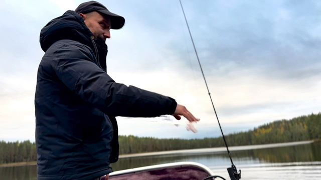 Электронный ротатор Fish Search с уникальной функцией перевода в перспективу.