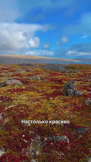 Осенняя тундра