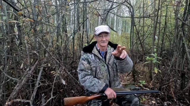 Охочусь на уток. Медведи везде.