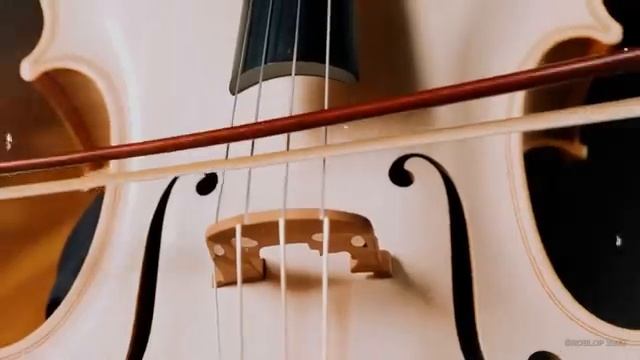 The Beatles - I Am The Walrus - AI Genetated
