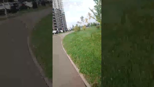 26-09-2026 мы вместе гуляем