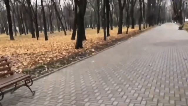 26.09. 2026 г. ВПО Днепр_ Краматорск! С Днём города!❤️Мы задумались😂🤔Пирог из лаваша с мясом и 🍄