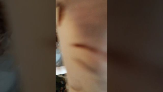 приключения кысульки 2 сезон 1серия часть 2