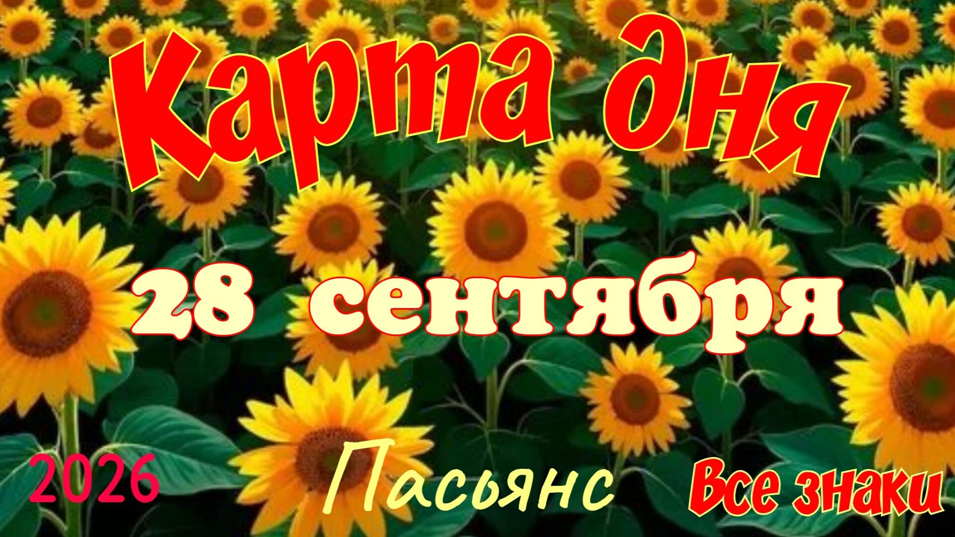 Карта дня💐28 сентября 🍁💫Пасьянс. Тайм-код в описании 🦢