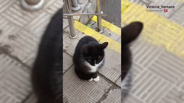 Доброе утречко, обещает быть на позитиве💖👍