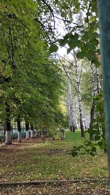 26-09-2026 Привет! Пошли прогуляемся!