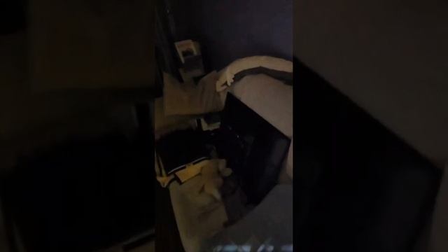 Video_16167290101752