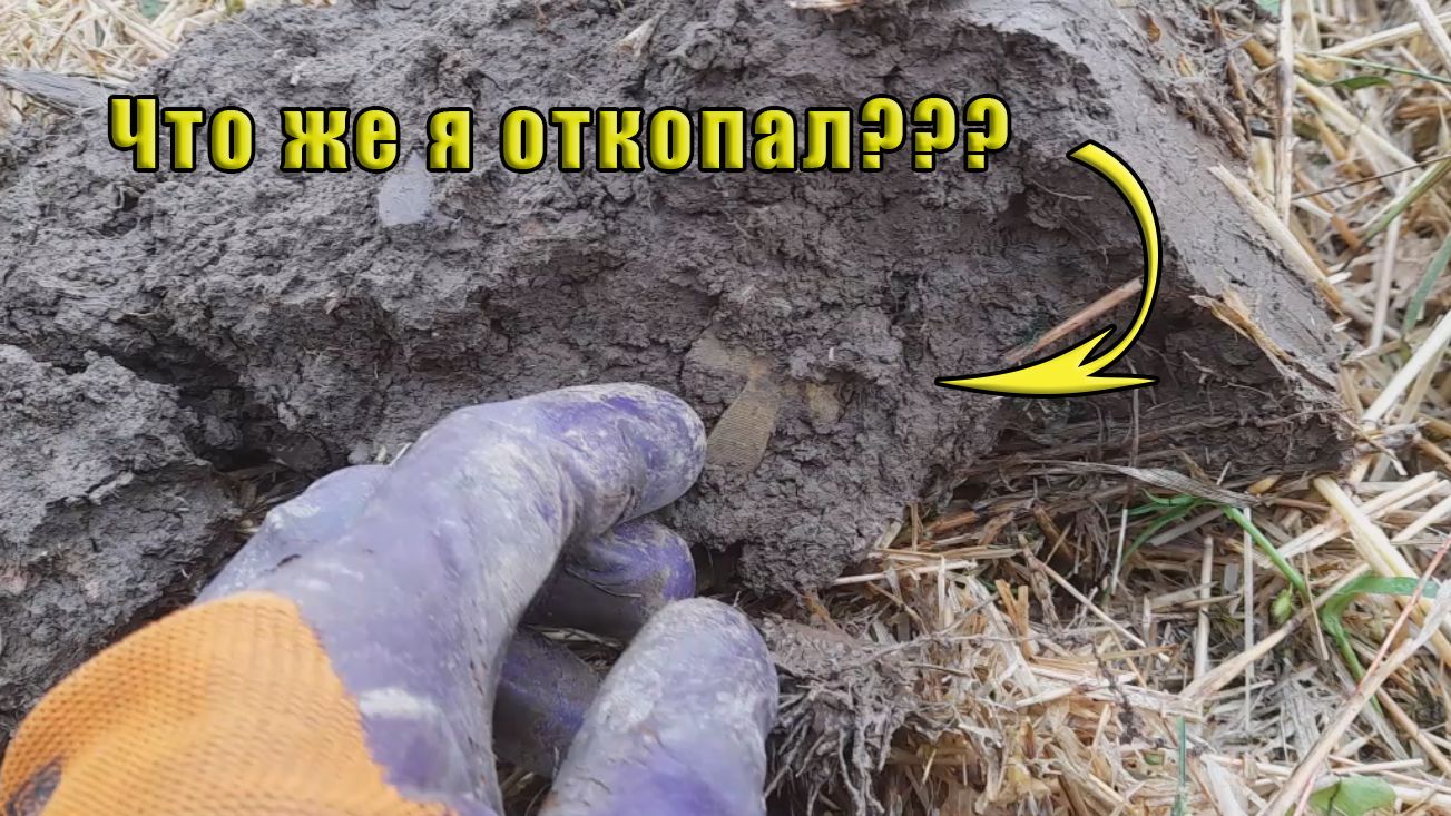 Коп на скошенном поле. Интересная находка! (Марий Эл)