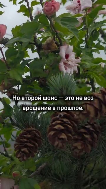 монолог мудреца