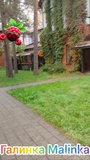 Ресторан и набережная / Отдых База отдыха/
