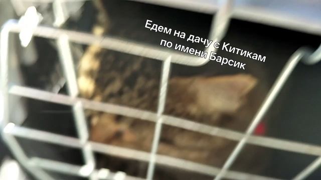 На дачу