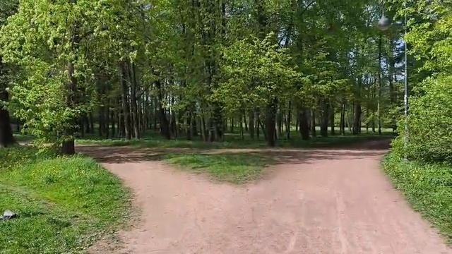 Влог Реальная жизнь СПб