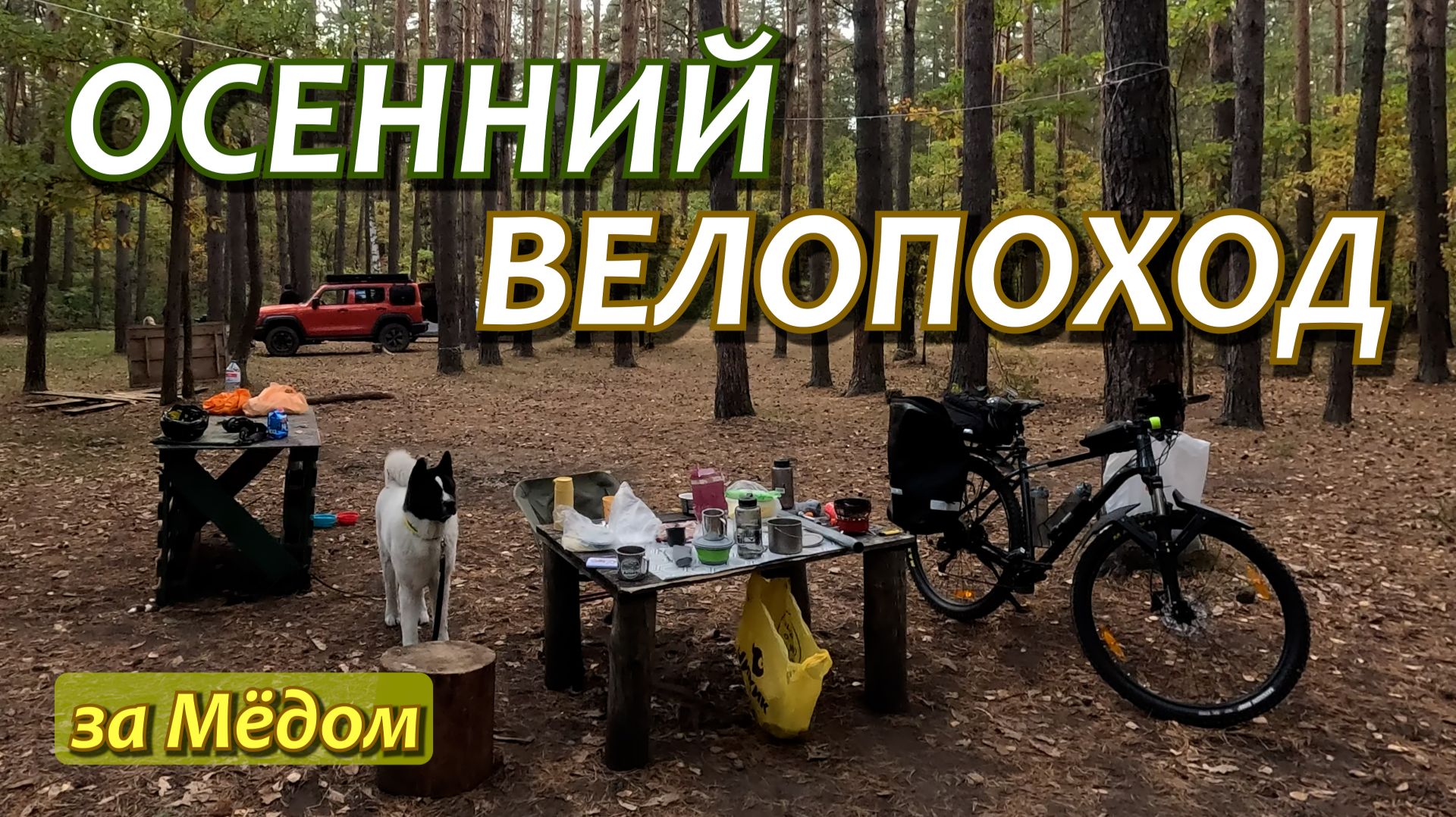 ОСЕННИЙ ВЕЛОПОХОД ЗА МЁДОМ