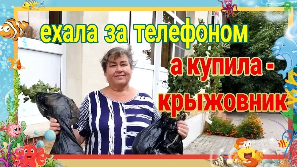 Собиралась в магазин, а приехала на рынок.
