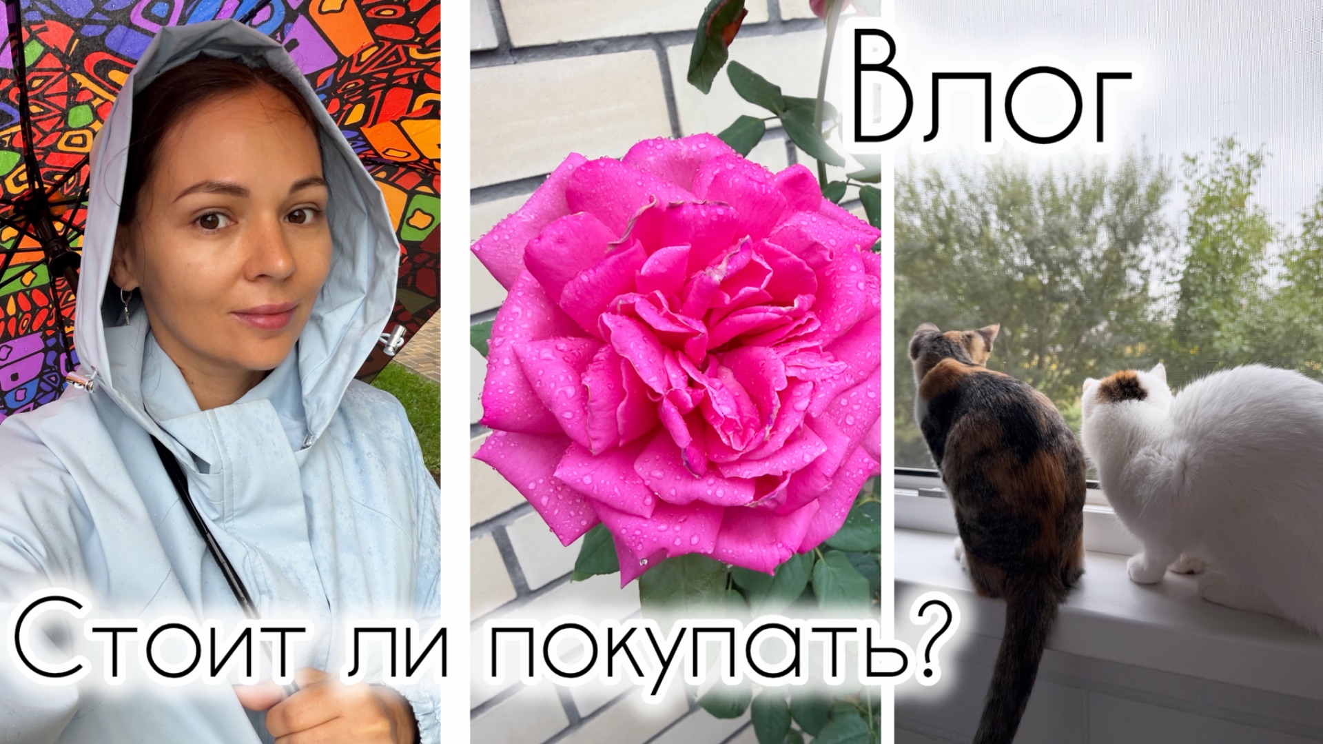 Стоит ли это покупать? Дождь не помеха ☔️Кто победит…