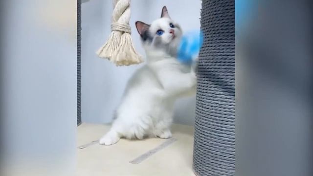 ЮМОР И ПРИКОЛЫ 😜😜😜