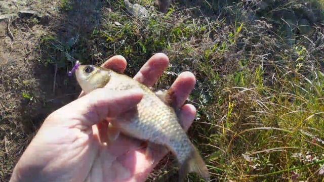 Мормышинг🎣 Приманка Вайт-Бейт👍