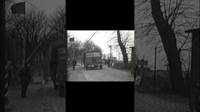 Долежаль:Золотой век
