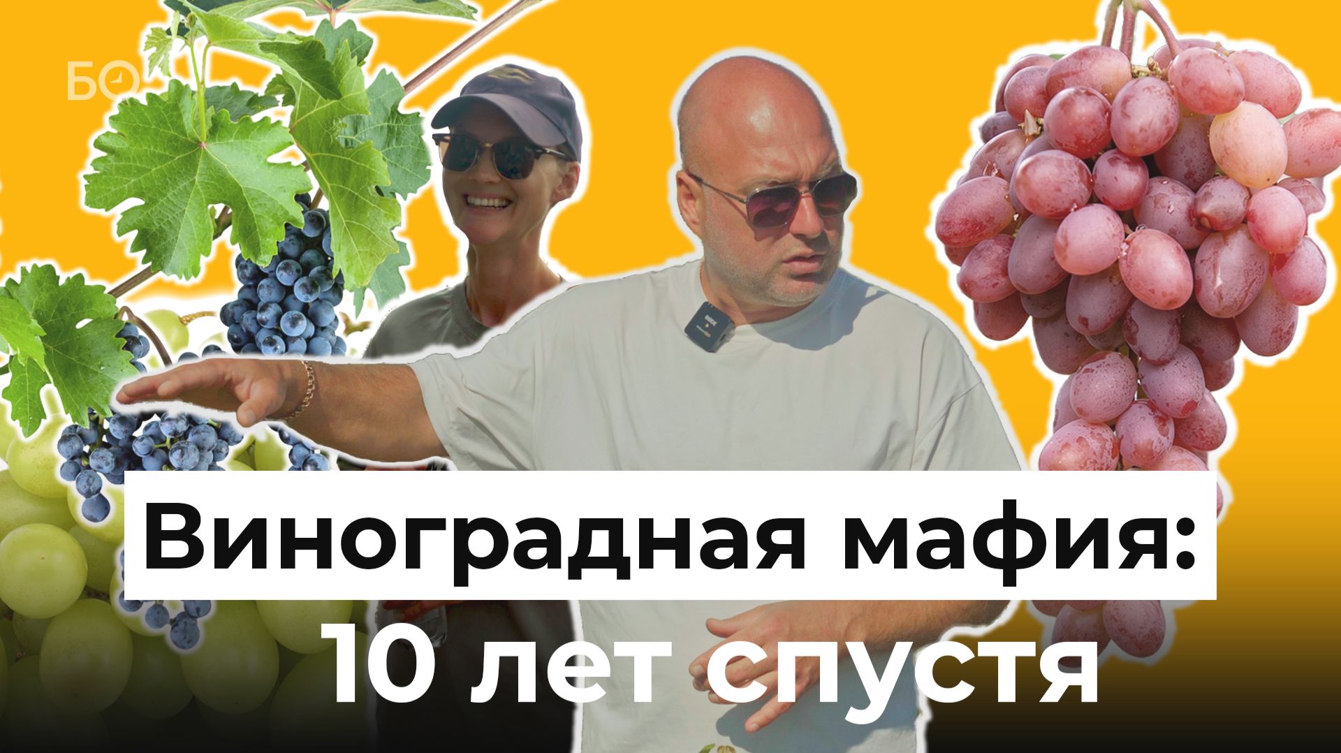 Виноградная долина Камского Устья. Как за 10 лет супруги превратили бизнес в новый бренд Татарстана