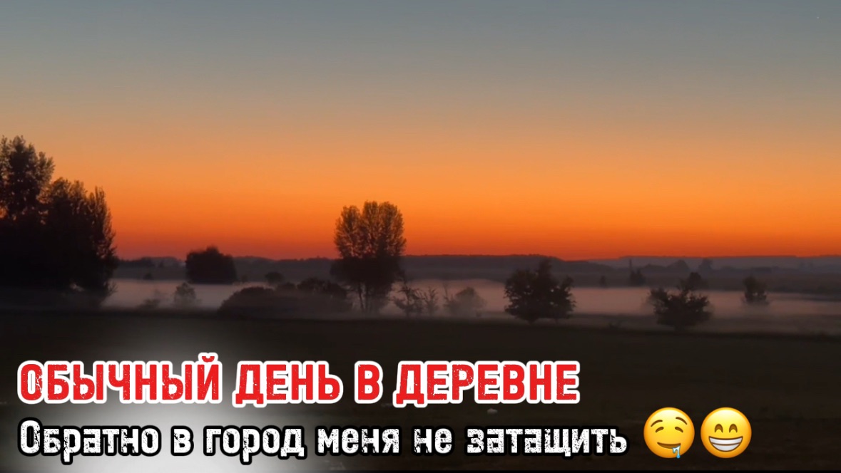Так и живем 😍😁
