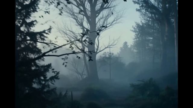 SergeyR-Огонь у края