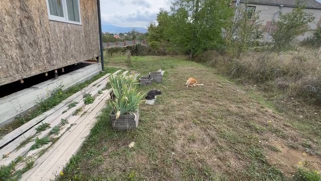 Купить жилой дом в Крыму в селе Пионерское, свет, газ, вода, септик, 2 этажа, с мебелью