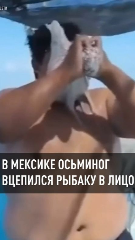 В Мексике осьминог вцепился рыбаку в лицо