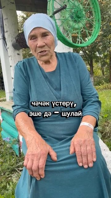 Видеоистории