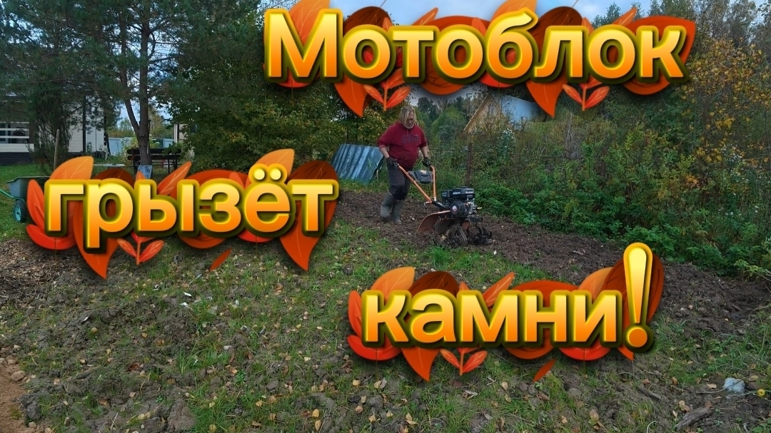 Загрузил соседей работой! Мотоблок грызёт камни!