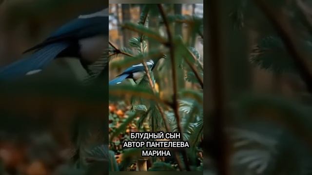 блудный сын