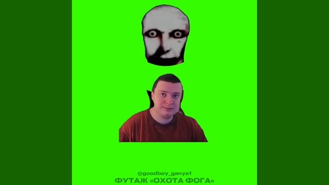 Футаж: охота фога