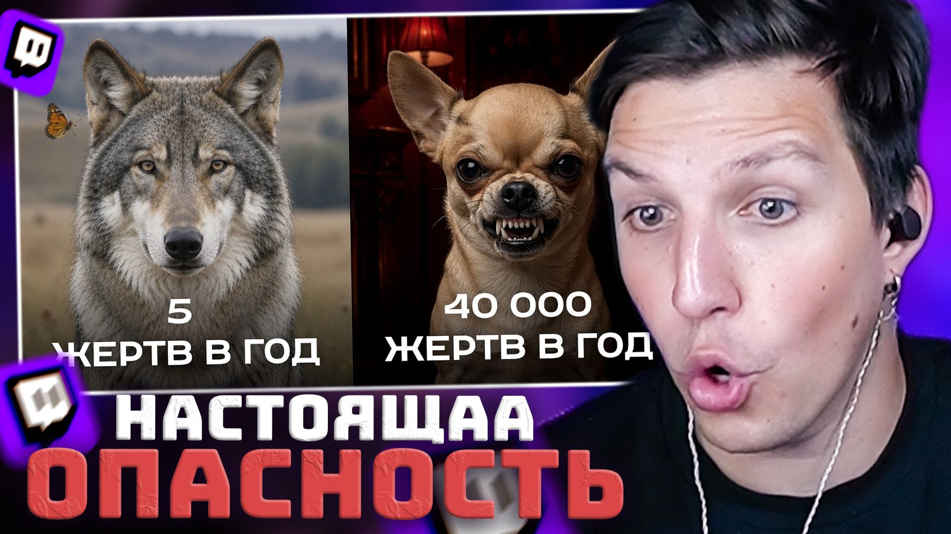 Мы боимся не самых опасных животных | РЕАКЦИЯ МАЗЕЛЛОВА