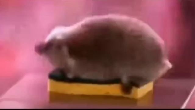 Какие они милые