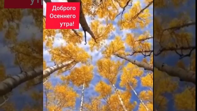 очень красивая песня👍👍👍👍