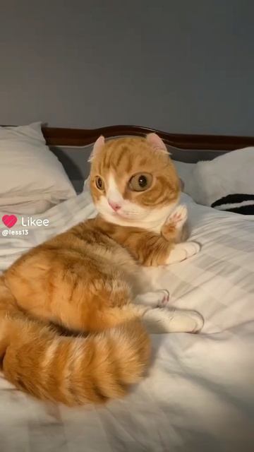 💜💜💜