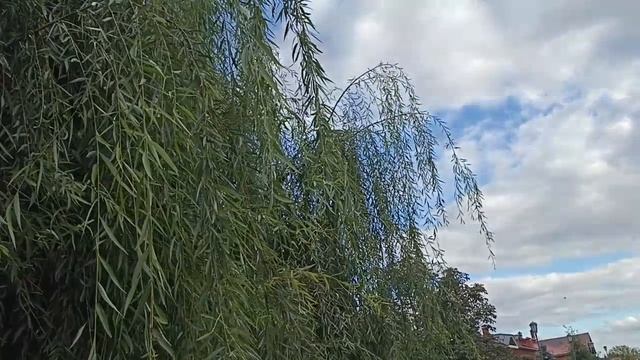 Города на Волге