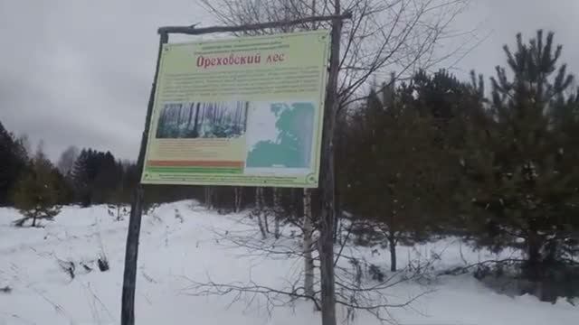 ТУДА И ОБРАТНО ПУТЕШЕСТВИЕ ОДНОГО ПОЛУРОСЛИКА