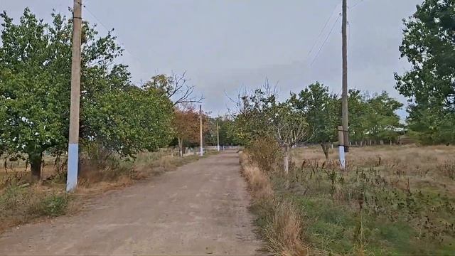 26 сентября 2026 г.