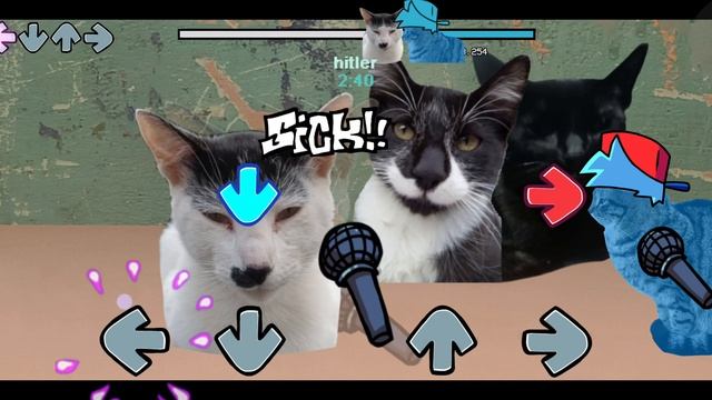 ЭТОТ КОТ ВЗБЕСИЛСЯ НА МЕНЯ!!! Vs Gatos (Вторая неделя) фнф (Cats/Коты)