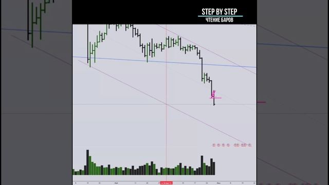 STEP By STEP чтение баров 1.2